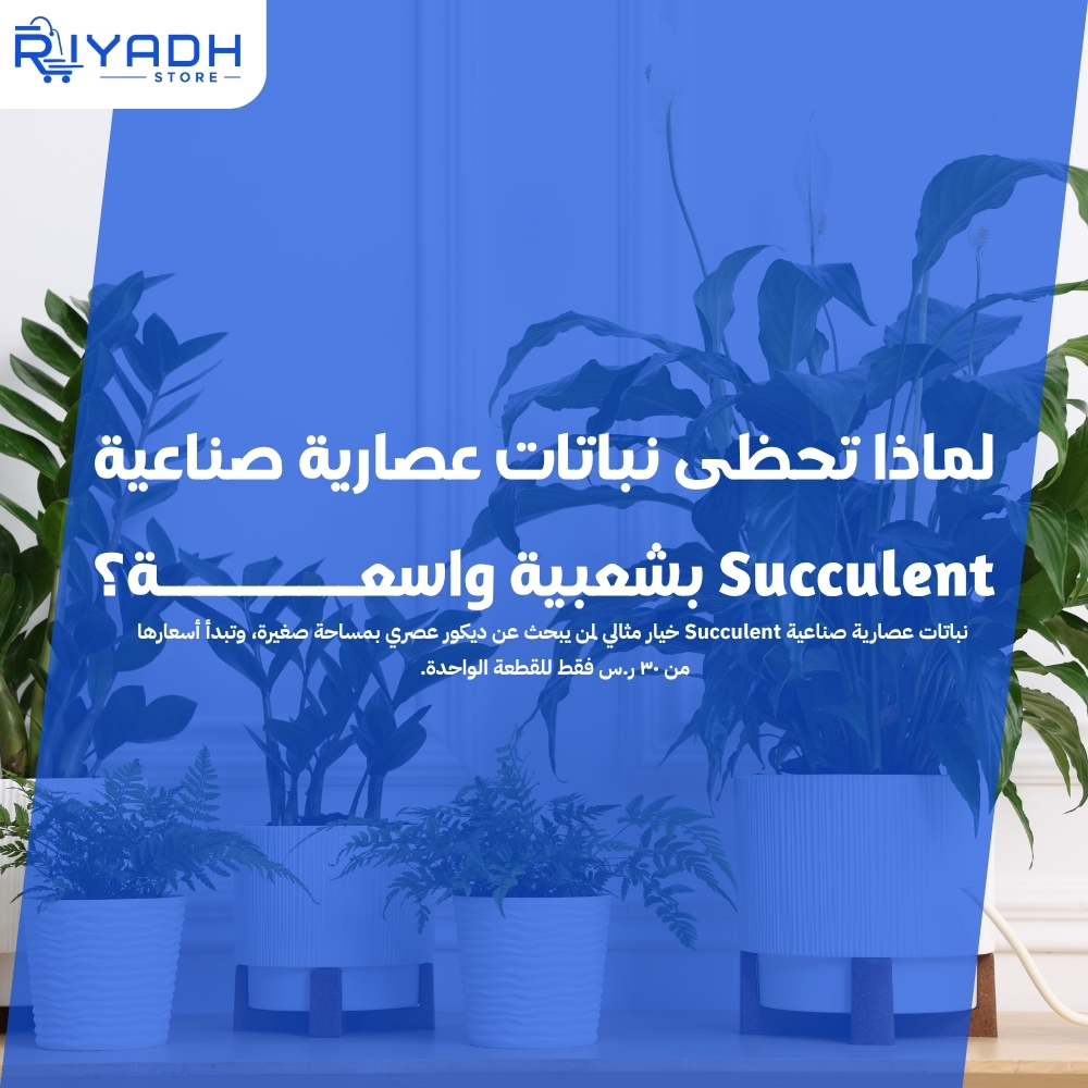 نباتات عصارية صناعية Succulent أنيقة لديكور ٢٠٢٦